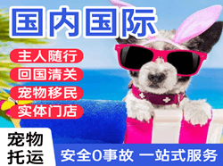 呼和浩特航空货运国际宠物托运 【国